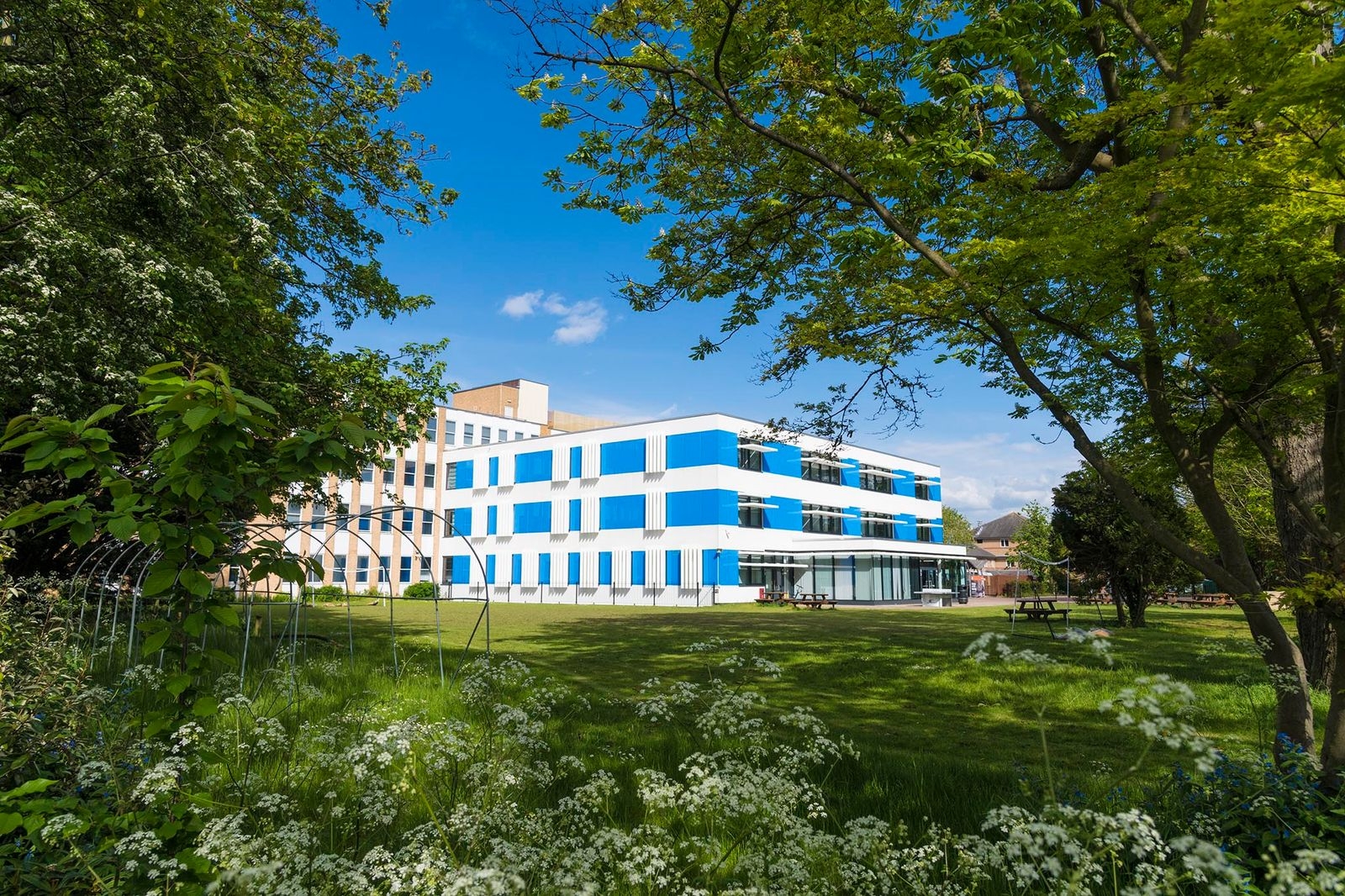 academic asia